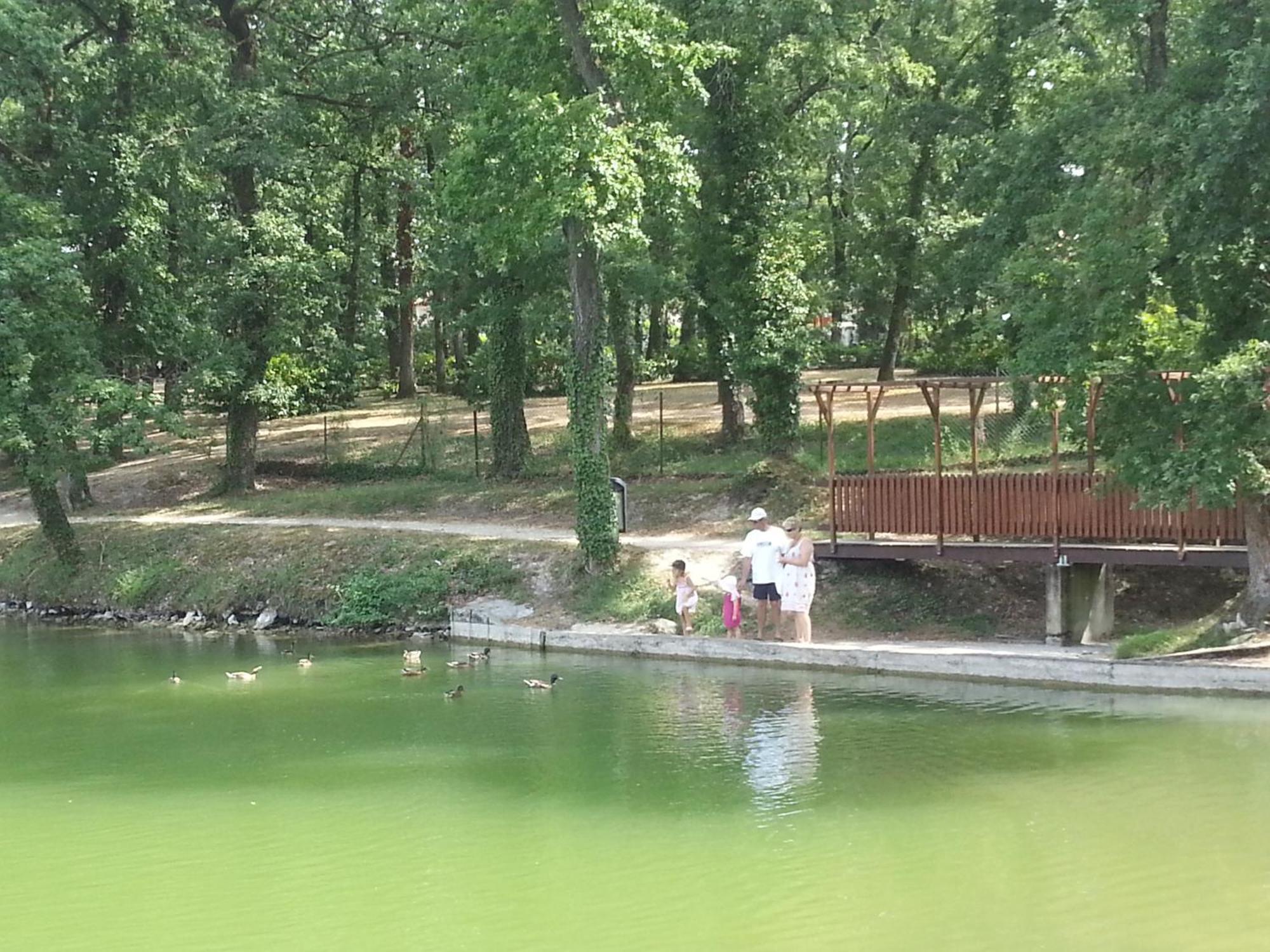 T2 / 5 Pers.dans Résidence Avec Piscine Chauffee Monflanquin